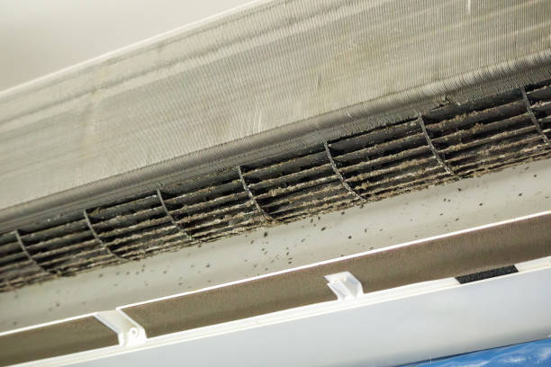 Best Ventilation Cleaning Services  in Evergreen Park, IL